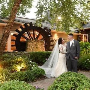 Meet your Posher, Ginger